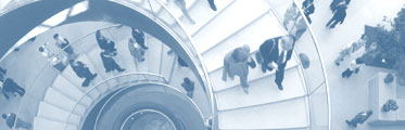 DIAFORA CONSULTING